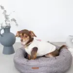 グラフチェッククッションベッド(ピローセット) - Image 6