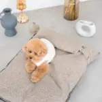 メランジペットマットベッド - Image 6