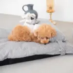 メランジペットマットベッド - Image 10