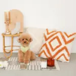 ジグザグフリンジクッション - Image 4