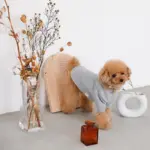 ウッドセミサークルトレイ - Image 3