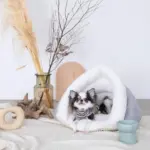 ドーム型ボアハウス - Image 2