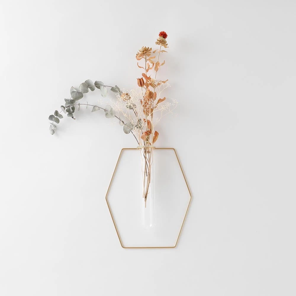 product_image_1763729662.webp ヘキサゴン型ウォールフラワーベース フック付 - Image 1