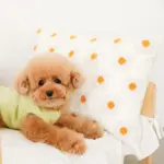 フラワークッション 横長 - Image 6