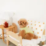 フラワークッション 横長 - Image 8