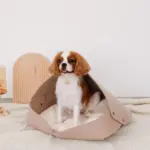 クッション付フェルトベッド - Image 5