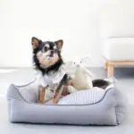 リバーシブルクッションストライプベッド - Image 5