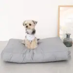 モダンドッグクッション - Image 6