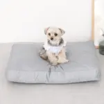 モダンドッグクッション - Image 8