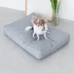 モダンドッグクッション - Image 9