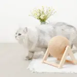 くるくる回転爪とぎ - Image 4