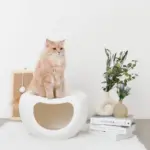 ドーム型キャットハウス - Image 6