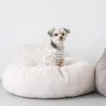 ふんわりクッションベッド - Image 5