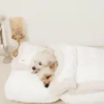 お星さまとお月さま柄お布団SET - Image 4