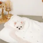 お星さまとお月さま柄お布団SET - Image 5