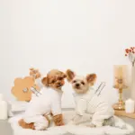 遠赤外線ギンガムチェックロンパースハーネス - Image 4