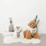 スノー刺繍ハーネス+リードSET【名入れ刺繍対応】 - Image 5