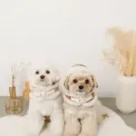 ムートンボアフードハーネス - Image 6