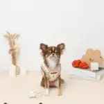 ボアチューリップ刺繍ハーネス+リードSET【名入れ刺繍対応】 - Image 2