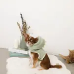 恐竜さんボアフードハーネス - Image 3