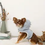 恐竜さんボアフードハーネス - Image 5