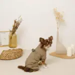 星柄キルティングロンパースハーネス - Image 8