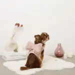 ビッグリボンファーハーネス+リードSET【名入れ刺繍対応】 - Image 3