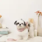 ビッグリボンファーハーネス+リードSET【名入れ刺繍対応】 - Image 5