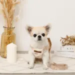 くまさん刺繍ボアハーネス+リードSET【名入れ刺繍対応】 - Image 4