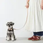 オーストレザーリード - Image 2