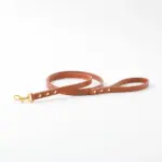 オーストレザーリード - Image 9