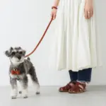 オーストレザーリード - Image 10