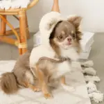 耳付きフードボアハーネス - Image 5