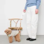 ウォーキングロングリード 5m - Image 2