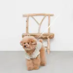 ウォーキングロングリード 5m - Image 4