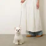 フラワーパラコードリード - Image 3