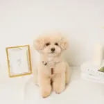 レザー×リネンハーネス - Image 2