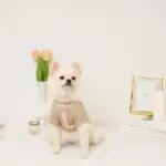 反射フラワー刺繍ハーネス+リードSET【名入れ刺繍対応】 - Image 2