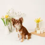 フラワーチャーム刺繍カラー+リードSET【名入れ彫刻対応】 - Image 3