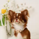 フラワーチャーム刺繍カラー+リードSET【名入れ彫刻対応】 - Image 6