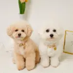 フラワーチャーム刺繍カラー+リードSET【名入れ彫刻対応】 - Image 7