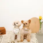 リボン刺繍フリルキルティングハーネス+リードSET【名入れ刺繍対応】 - Image 2