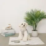 メッシュコンビ反射テープハーネス+リードSET【名入れ刺繍対応】 - Image 2