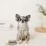 メッシュコンビ反射テープハーネス+リードSET【名入れ刺繍対応】 - Image 5