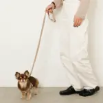 撥水バイカラーハーネス+リードSET【名入れ刺繍対応】 - Image 7