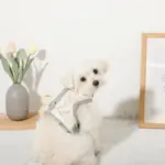 冷感マーガレット柄ハーネス+リードSET【名入れ刺繍対応】【保冷剤付き】 - Image 9