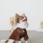 サークルチャームチェーンネックレス【名入れ彫刻対応】 - Image 4