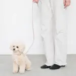 バイカラーレザーリード - Image 5