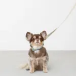 シュリンクレザーコットンライクリード - Image 3