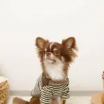 ソフトメッシュハーネス - Image 4